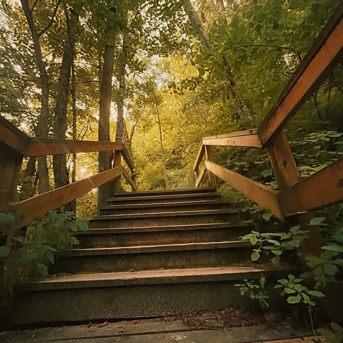 Life Clarity+Action Steps