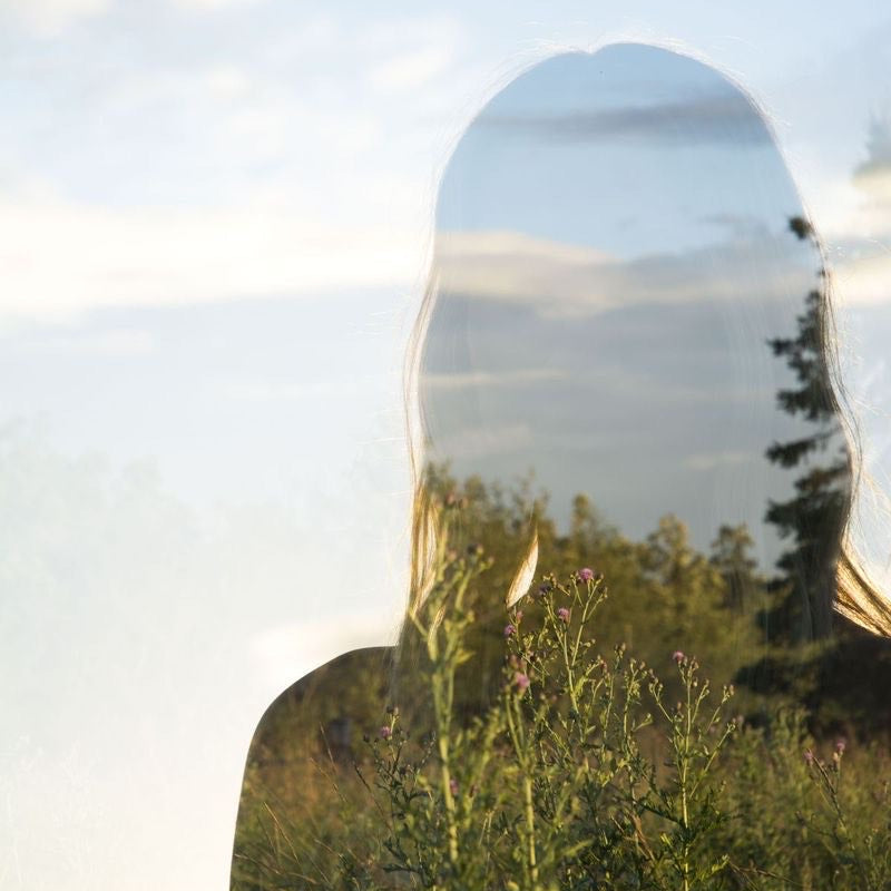 Guided Visualization